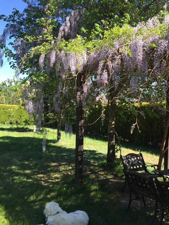 Alojamiento En Entorno Rural Los Trobos Villar de Otero Zewnętrze zdjęcie